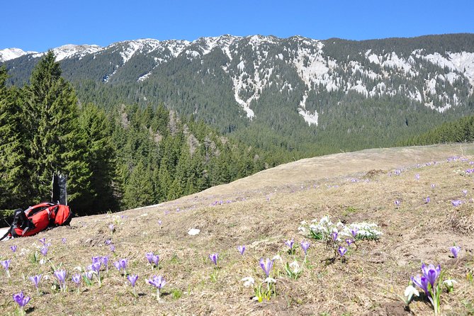 Piatra Craiului National Park Private Hiking Tour From Brasov - Sheep Farm Visit