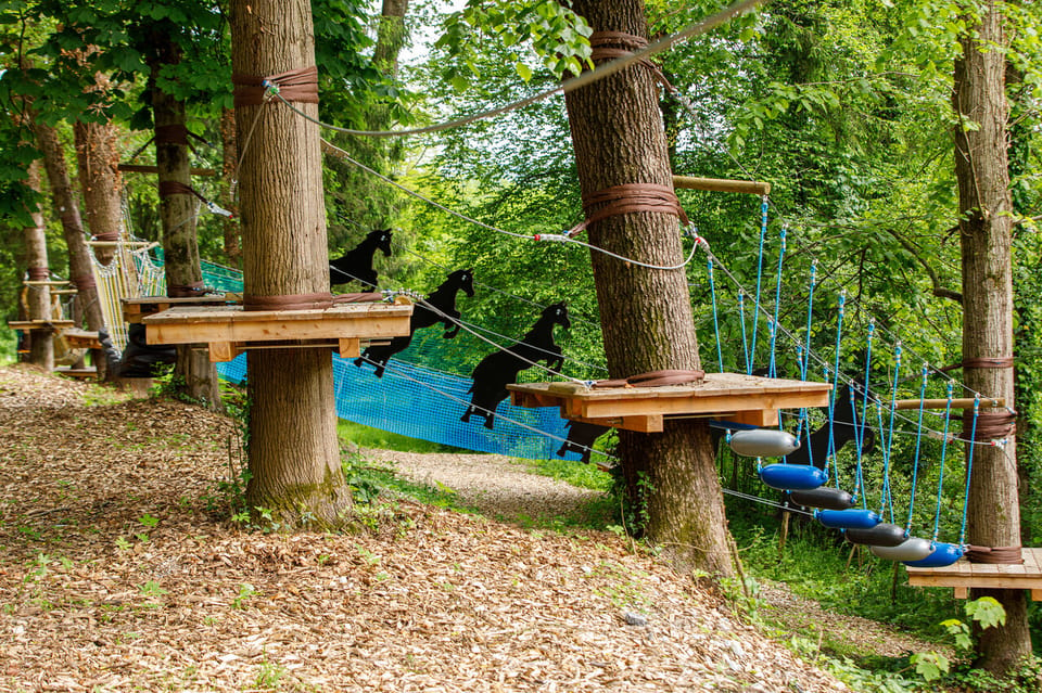 Piber: Climbing Park - Booking and Cancellation Policy