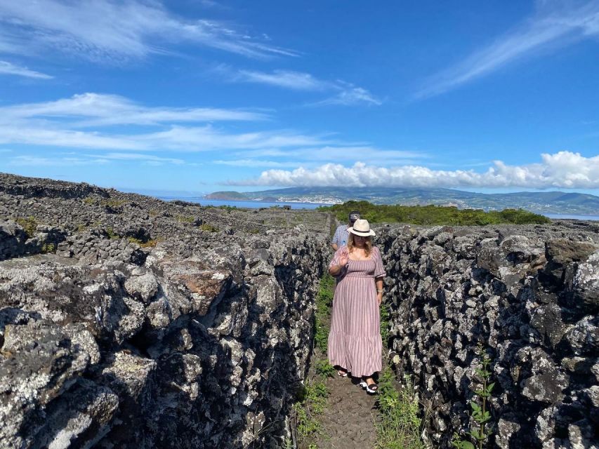 Pico Island: Wine Tasting, Independent Producers & Culture - Winery Visit and Tastings