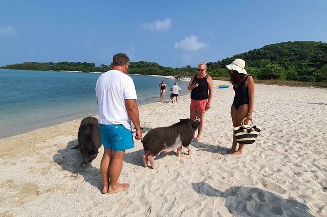Pig Island Snorkeling & Sightseeing Tour By Speedboat From Koh Samui - Tips for a Great Experience
