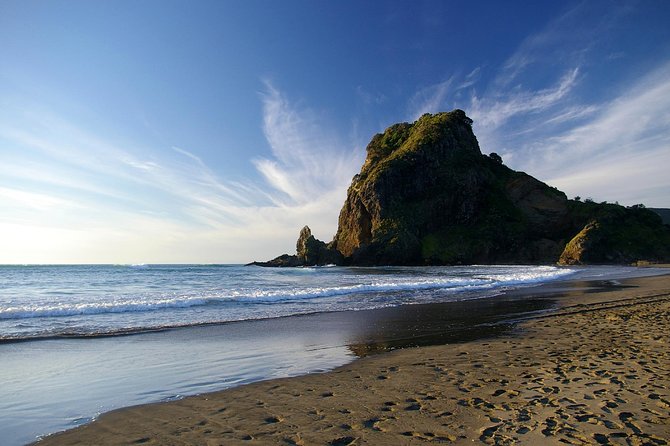 Piha Waitakere Rainforest Wine Tour From Auckland - Booking Information