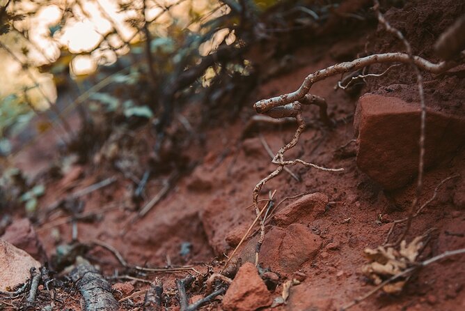 Pikes Peak COG Railway & Garden of Gods Tour - Lunch Included - Guest Feedback