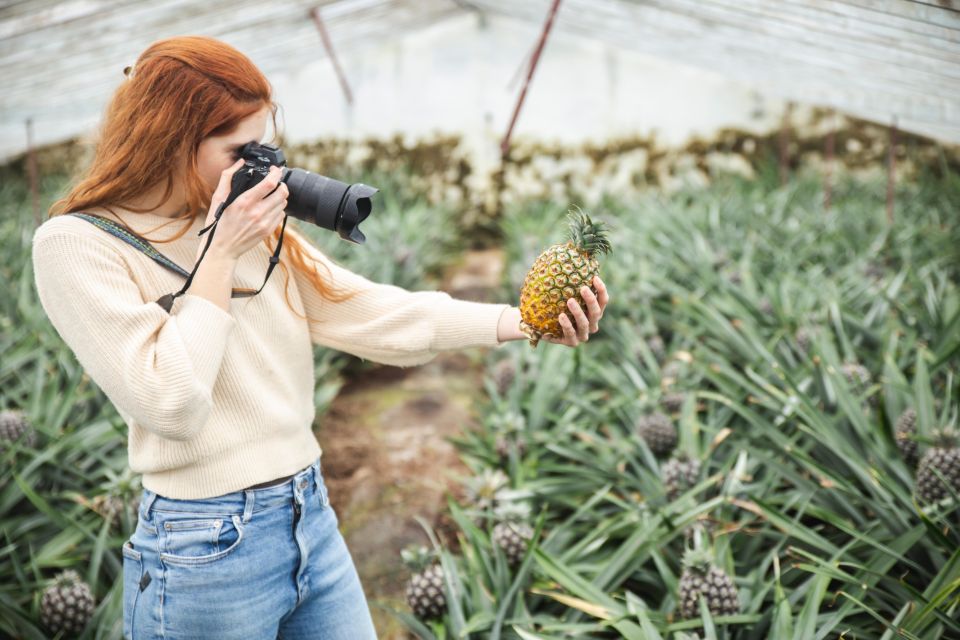 Pineapple Greenhouse Hot Tube and Pineapple Tour - Amenities Provided