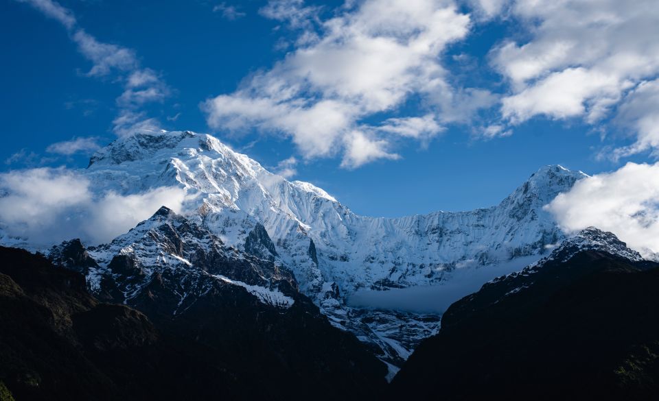 Pokhara: 7-Day Annapurna Base Camp Guided Trek - Customer Feedback