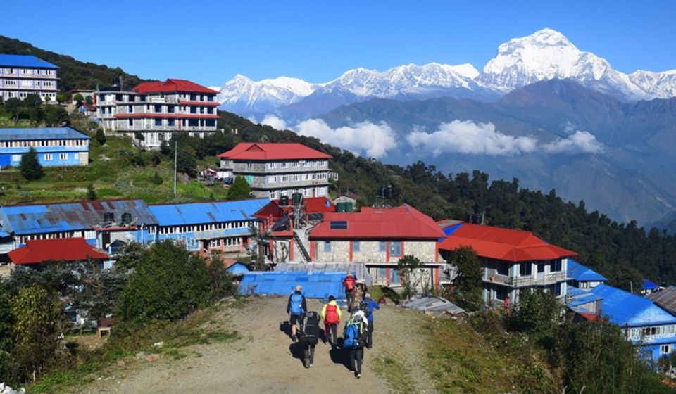 Pokhara: Private Pool Hill Trek With Accommodation and Meals - Frequently Asked Questions