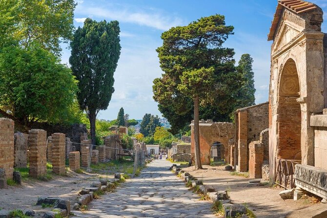 Pompeii and Naples Day Trip From Rome by High Speed Train - Tour Reviews and Ratings