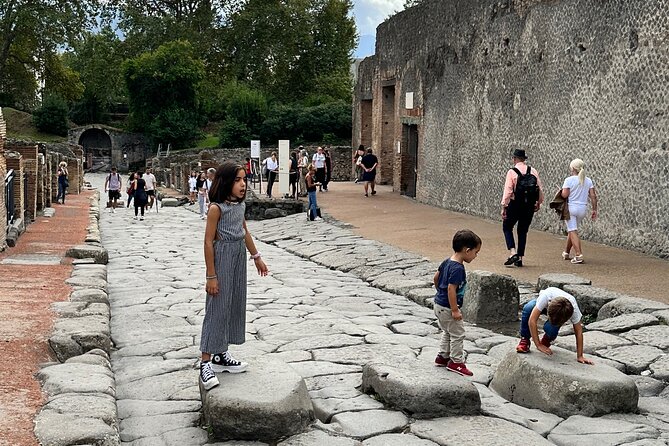 Pompeii Private Tour From Naples Cruise, Port or Hotel Pick up - Accessibility and Flexibility