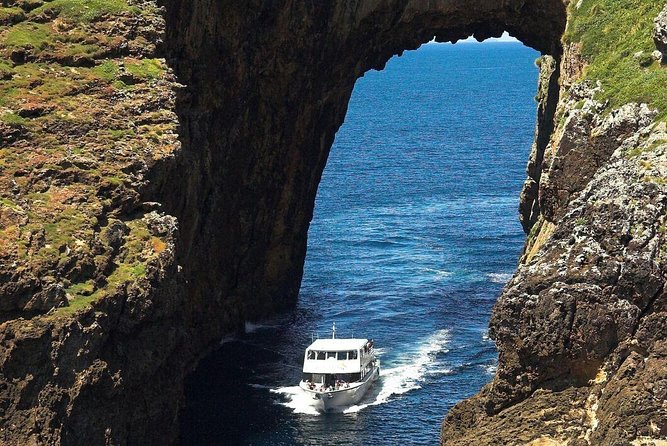 Poor Knights Small Group Tour & Cruise From Auckland - Booking Your Tour