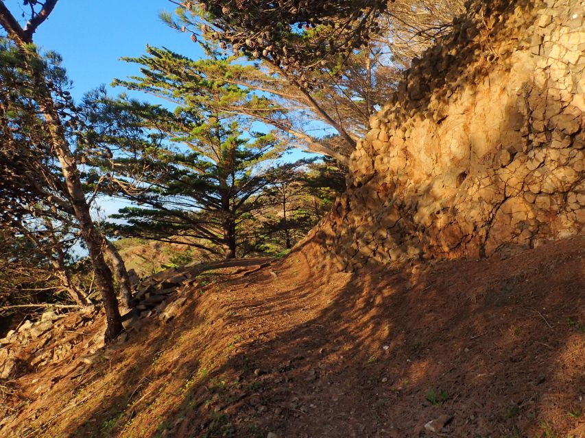 Porto Santo - Pico Do Facho Hiking Tour - Customer Reviews