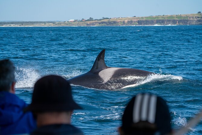 Premier Whale Watching Byron Bay - Booking and Cancellation Policy