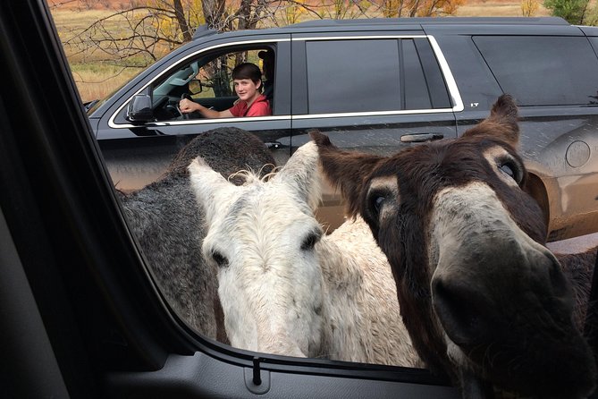 Premiere Private Black Hills Tour: Mt Rushmore, Crazy Horse & Custer State Park - Booking and Cancellation