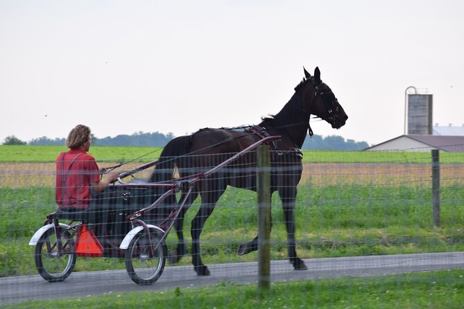 Premium Amish Country Tour Including Amish Farm and House - Recap