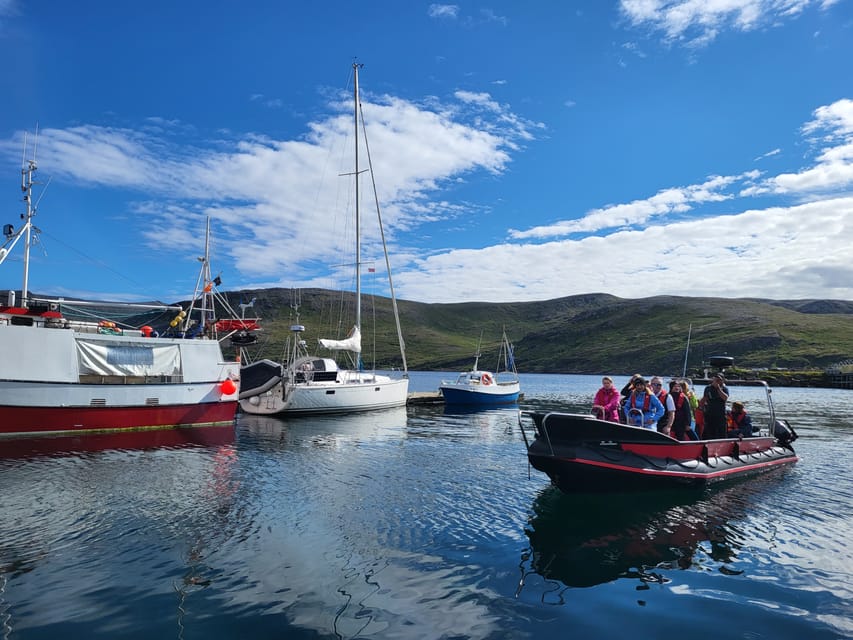 Privat Wildlife Kingcrab Safari Around the North Cape - What to Expect