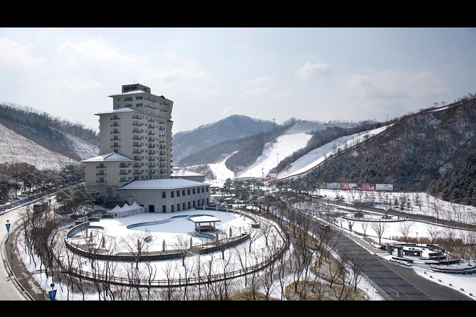 Private 1:1 Ski Lesson Near Seoul, South Korea - Customer Reviews and Ratings