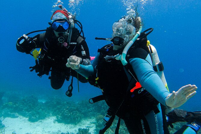 Private 2 Tank Guided Experience in Curaçao for Certified Divers - Booking Information