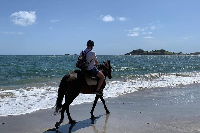 Private Advanced Horseback Beach Ride With Sandy Hoofs St. Lucia - Booking Information