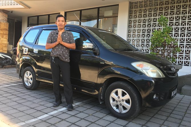 Private Bali Car Charter With Driver up to 6 People - Accessibility and Suitability