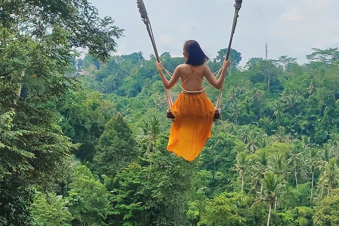 Private Bali Tour With Lisensed Bali Driver - Booking Process