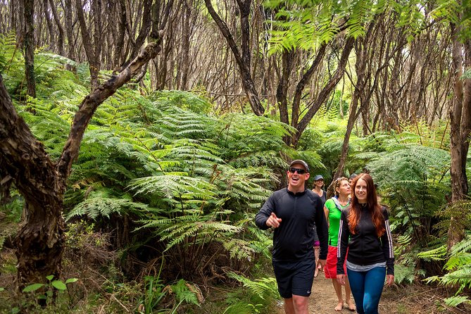 Private Boat Charter in Abel Tasman National Park - Booking Information