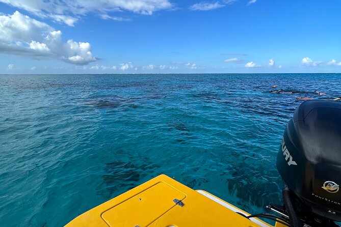 Private Boat Tours: Customize Your Grand Cayman Adventure! - Tips for a Memorable Adventure