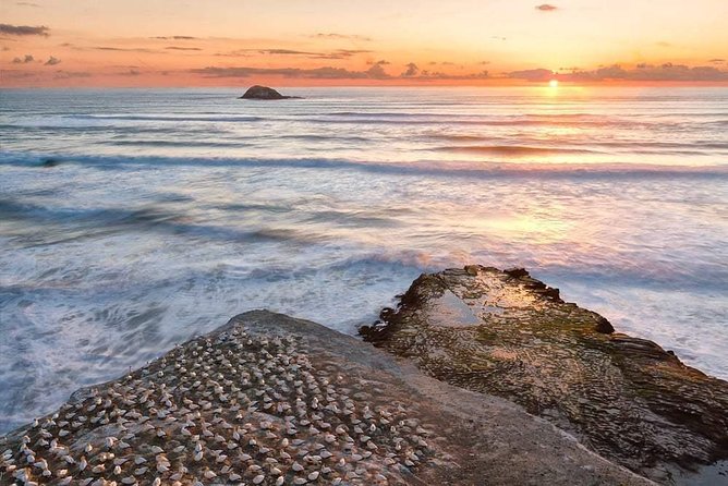 Private Coast to Coast Luxury Eco Tour - Itinerary Overview