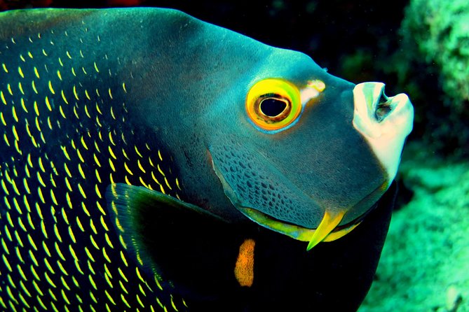 Private Customized South Island Tour and Snorkel Combo - Environmental Commitment and Practices
