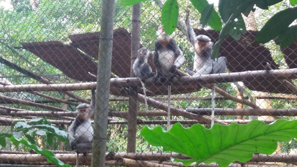 Private Day Tour: Cuc Phuong National Park From Hanoi - Tips for Travelers