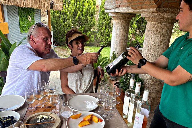 Private Ephesus Tour & Wine Tasting & Lunch - Customization and Flexibility