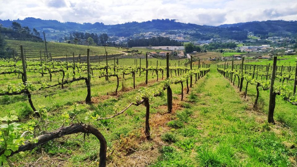 Private Green Wine Wineries and UNESCO Guimarães Tour - Historic Town Highlights