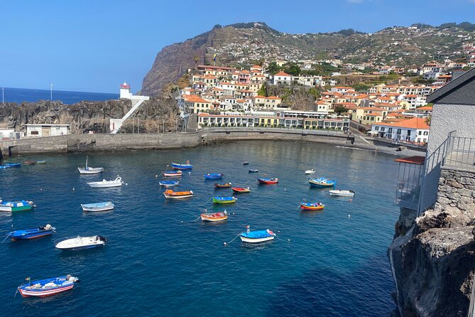 Private Half Day Madeira Tour (Mercedes Viano/Vito) - Monte Toboggan Run