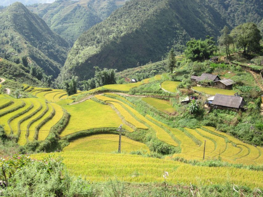 Private Hoang Lien National Park & Tribal Village Trek - Cultural Insights of Black Hmong