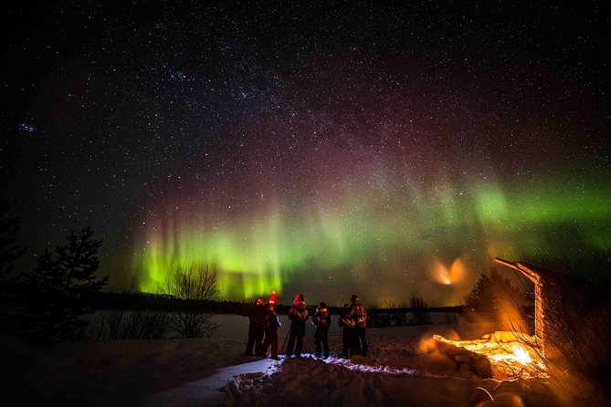 Private Northern Lights Photography Tour in Rovaniemi - Additional Tour Considerations