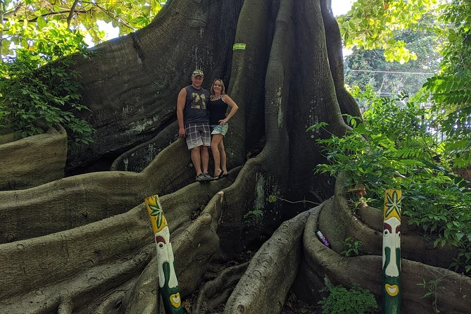 Private Ocho Rios Highlight Tour - Safety Considerations