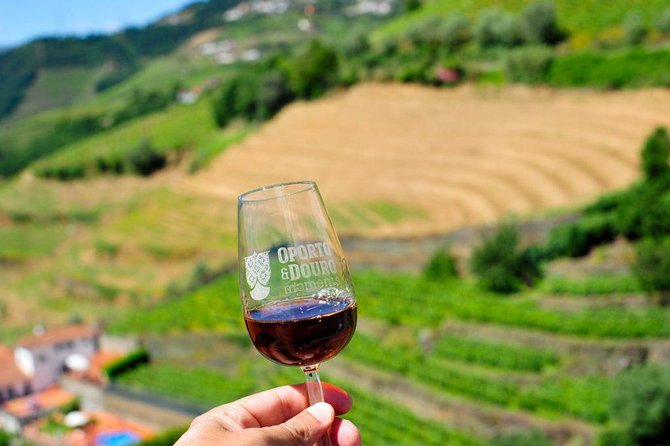 Private off the Beaten Douro Valley Wine Tour - Wine Tasting in Lamego