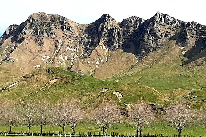 Private Prestigious Wine Tour in Napier - Tips for a Great Experience