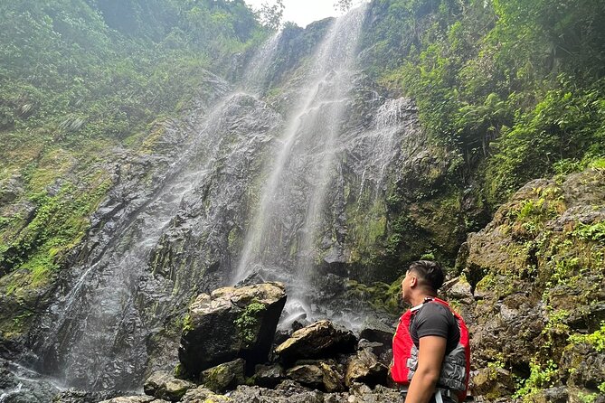 Private Rainforest Hike to Hidden Waterfall Tour With Transport - What to Bring for the Hike