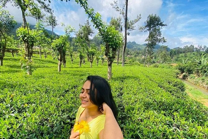Private Ravana Falls and Nine Arches Bridge Ella Tour From Galle - Booking Information