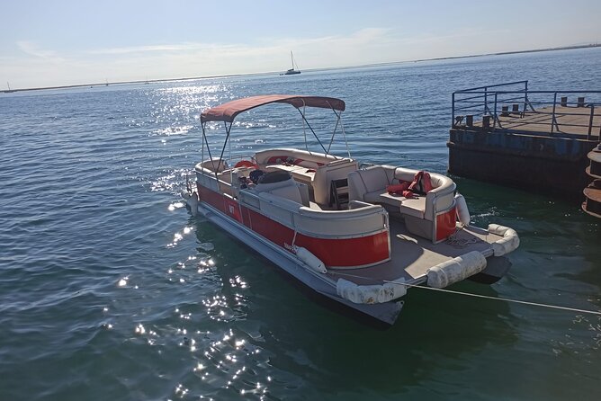 Private Ria Formosa Natural Park Boat Cruise From Faro - Reviews and Feedback