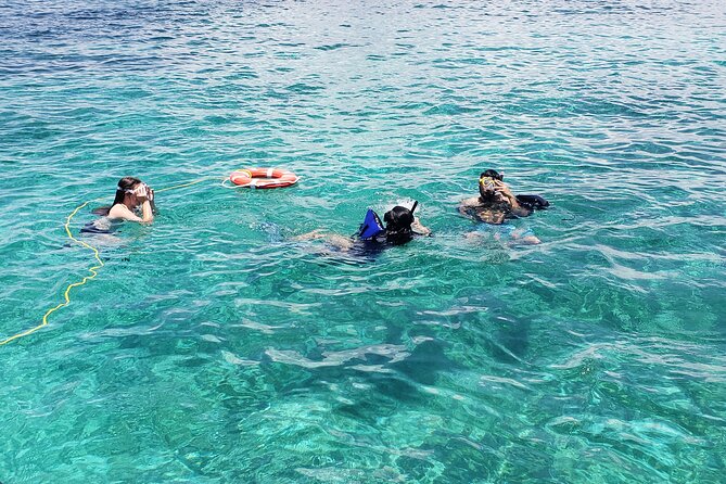 Private Rose Island Tour Snorkeling Fishing Swimming With Pigs - Recommendations for Future Guests
