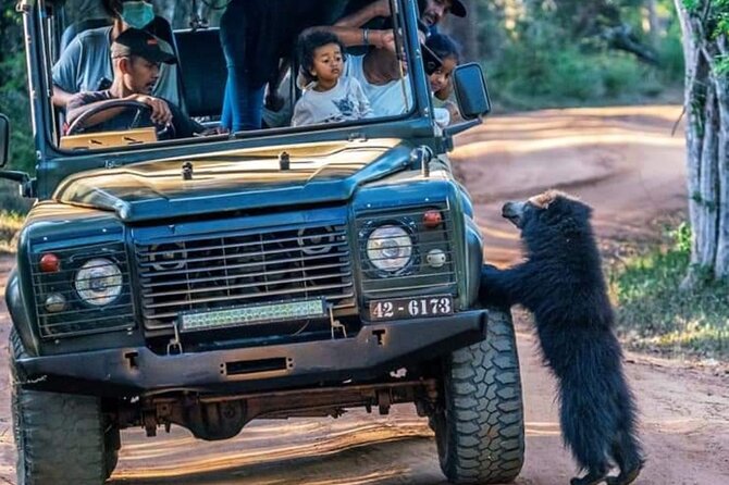 Private Safari in Yala National Park Morning or Evening - Cancellation Policy Insights