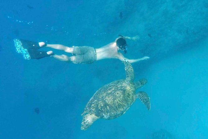 Private Snorkeling and Wildlife on The Adventure Boat - Safety Measures and Guidelines