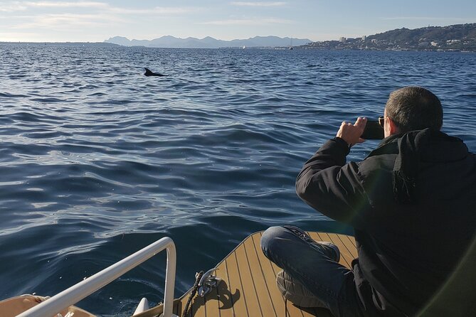 Private Solar Catamaran Cruise in Antibes Juan Les Pins - Tips for Travelers