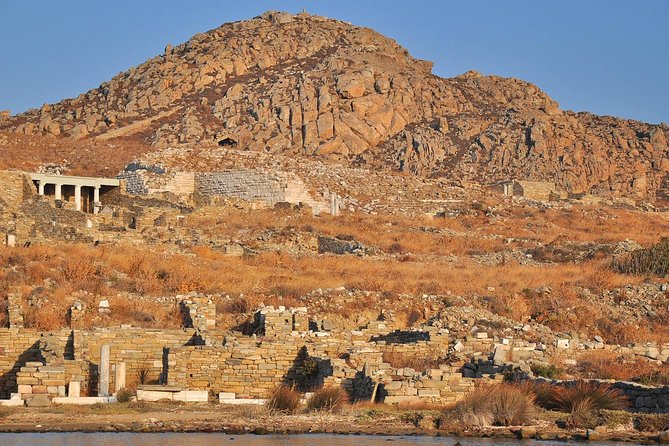 Private Speedboat Cruise From Delos to Rhenia and Mykonos - Tips for a Memorable Cruise