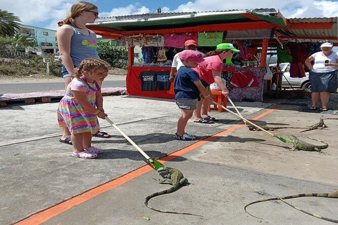 Private St Maarten Island Sightseeing Tour - Tips for a Great Tour