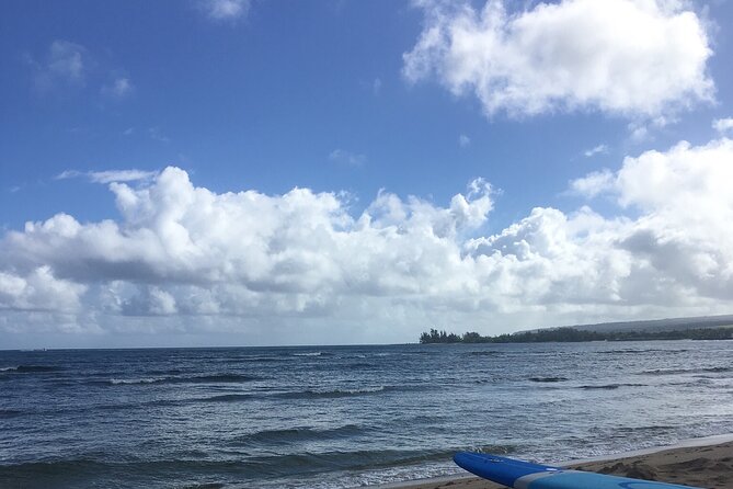 Private Surfing Lessons on the North Shore of Oahu - Customer Experiences