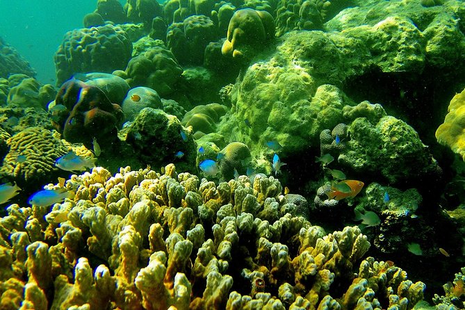 Private Surin Islands Longtail Boat Tour - Environmental Considerations