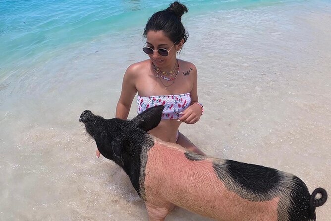 Private Swimming Pigs, Sea Scooter, Turtles And Peacock Island - Tips for an Amazing Adventure