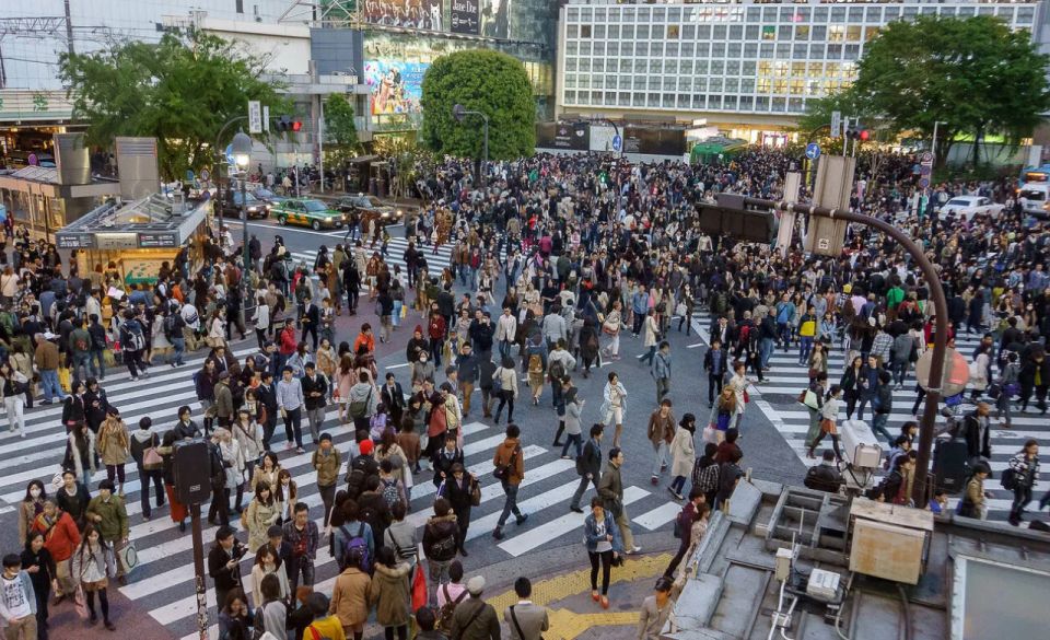 Private Tokyo City Tour With English Speaking Guide by Car - Meiji Jingu Shrine