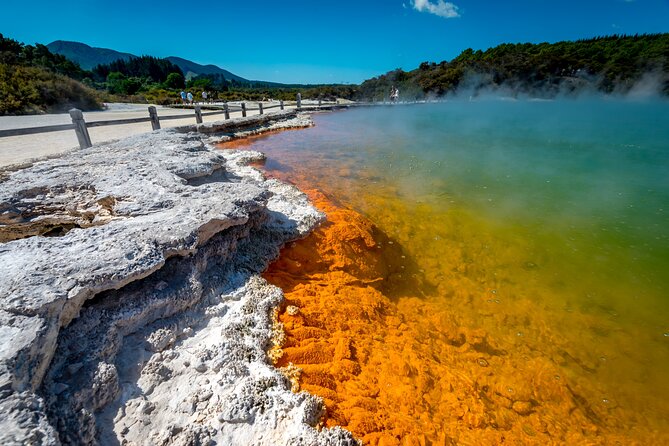 Private Tour [4 Days]: Waitomo Caves, Hobbiton, Rotorua, Hells Gate & Wai-O-Tapu - Pricing and Booking Details