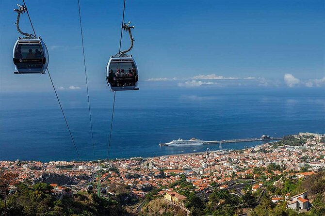 Private Tour Cable Car Toboggan Tropical Garden and Skywalk - Tips for a Great Experience